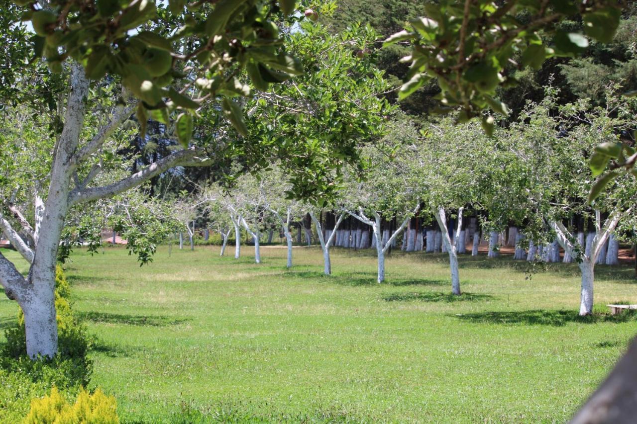Cabanas Rancho El Mayab Zacatlán Εξωτερικό φωτογραφία