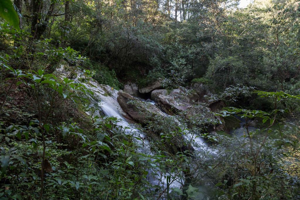 Cabanas Rancho El Mayab Zacatlán Εξωτερικό φωτογραφία