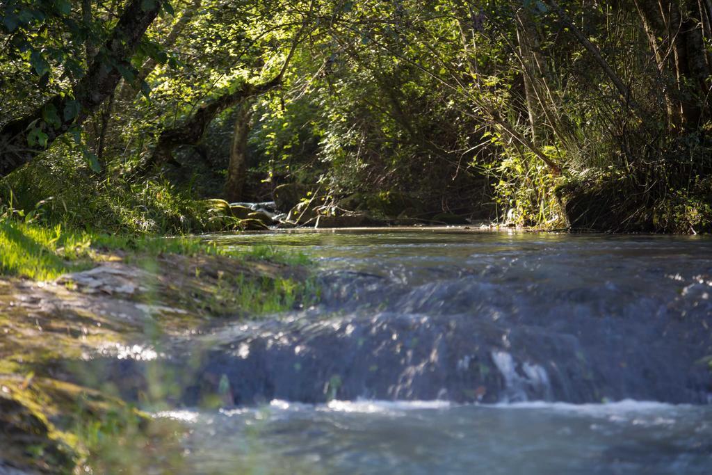 Cabanas Rancho El Mayab Zacatlán Εξωτερικό φωτογραφία